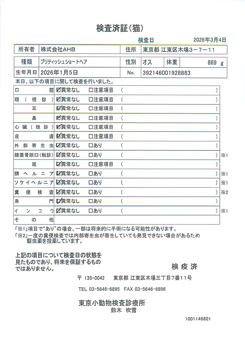 ブリティッシュショートヘア