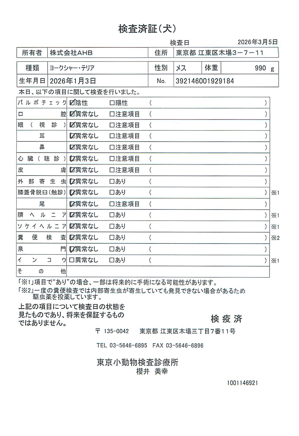 ヨークシャー・テリア