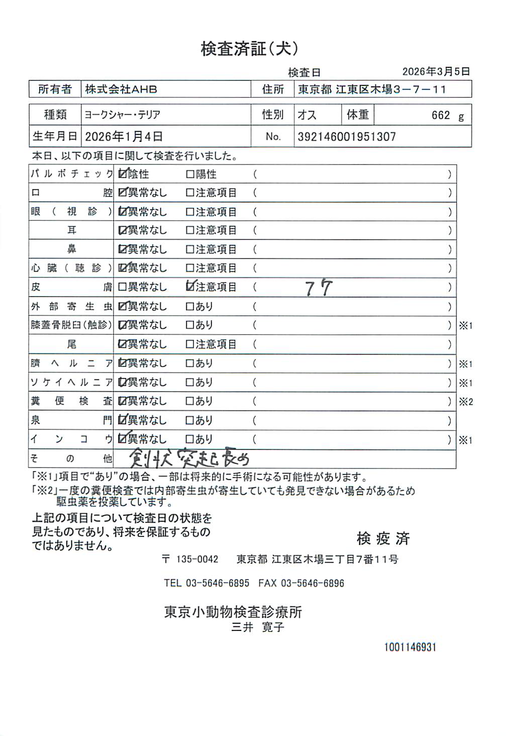 ヨークシャー・テリア