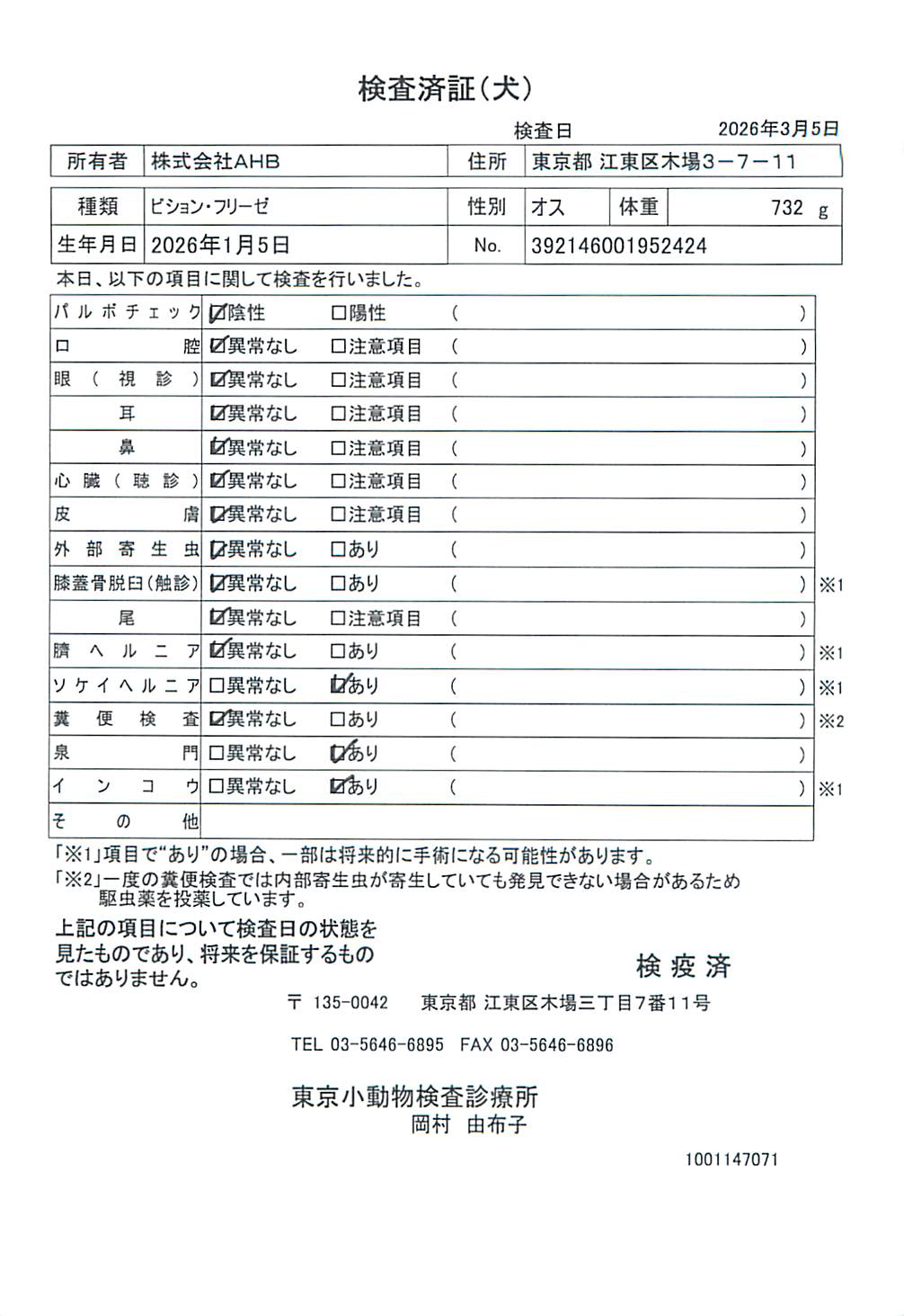 ビション・フリーゼ