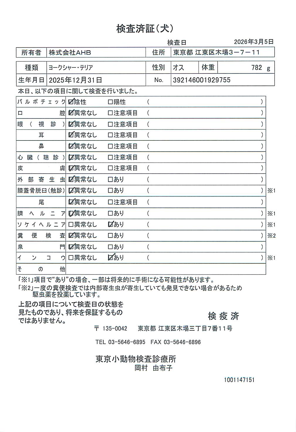 ヨークシャー・テリア