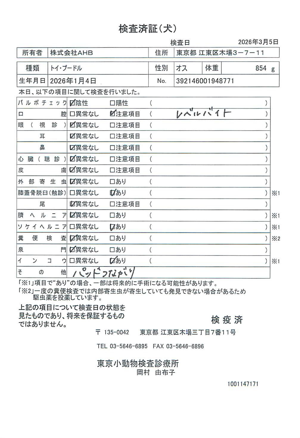トイ・プードル