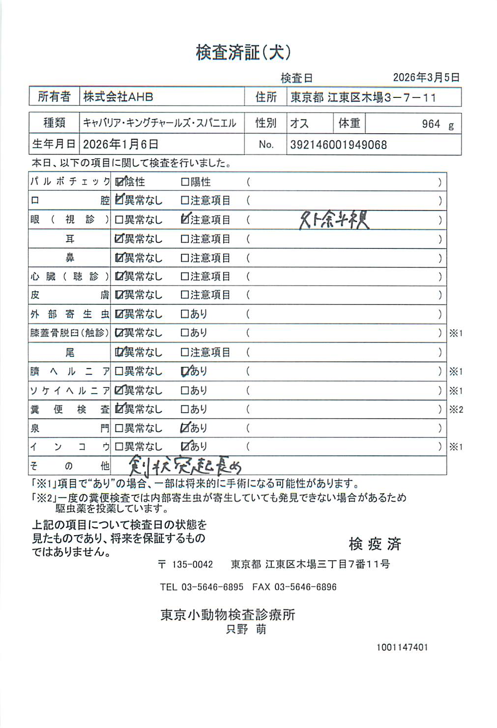 キャバリア・キングチャールズ・スパニエル