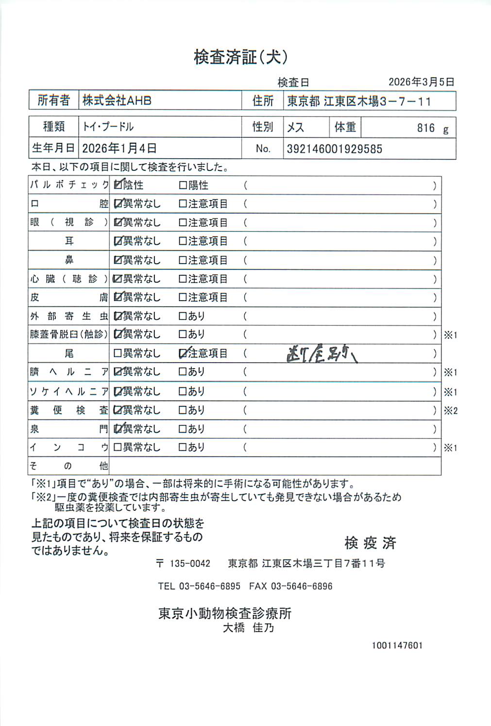 トイ・プードル