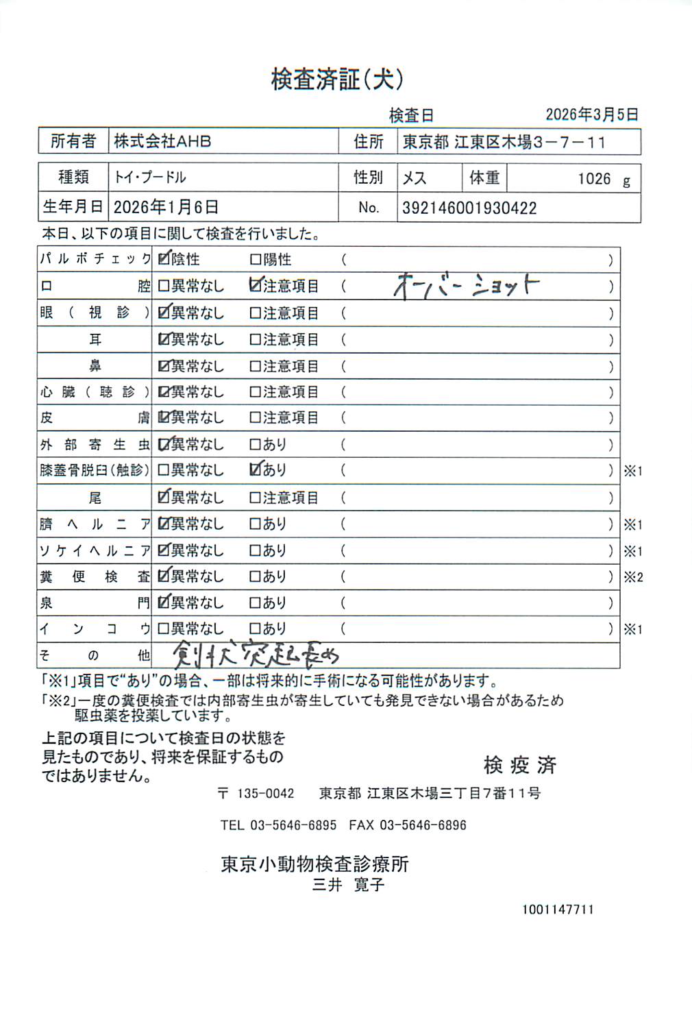 トイ・プードル