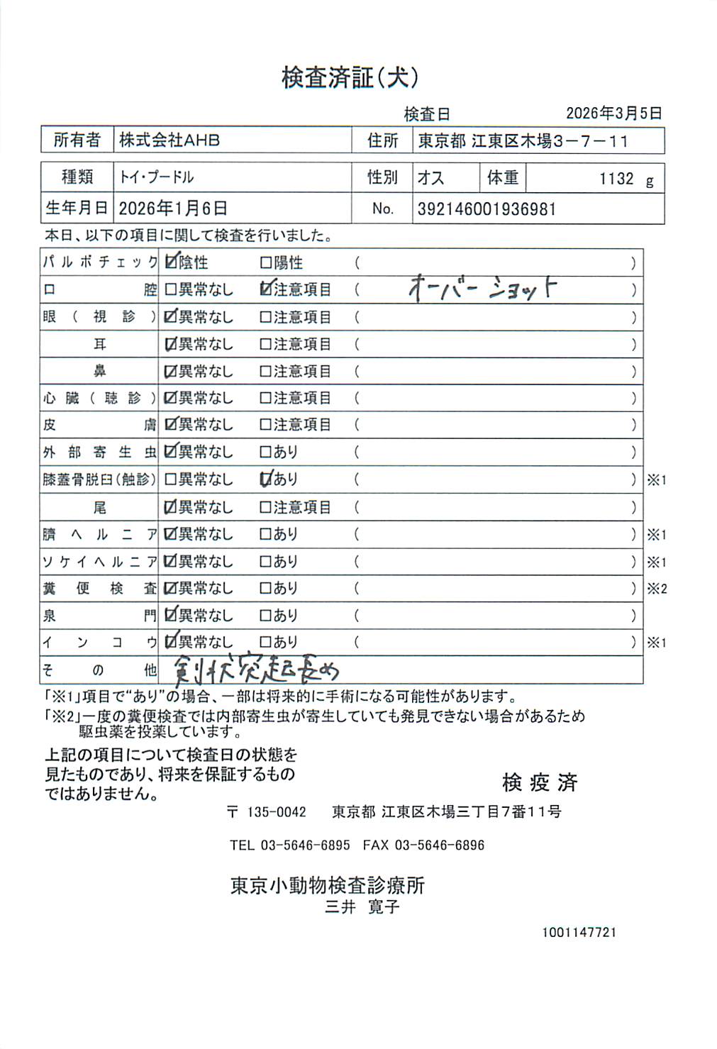 トイ・プードル