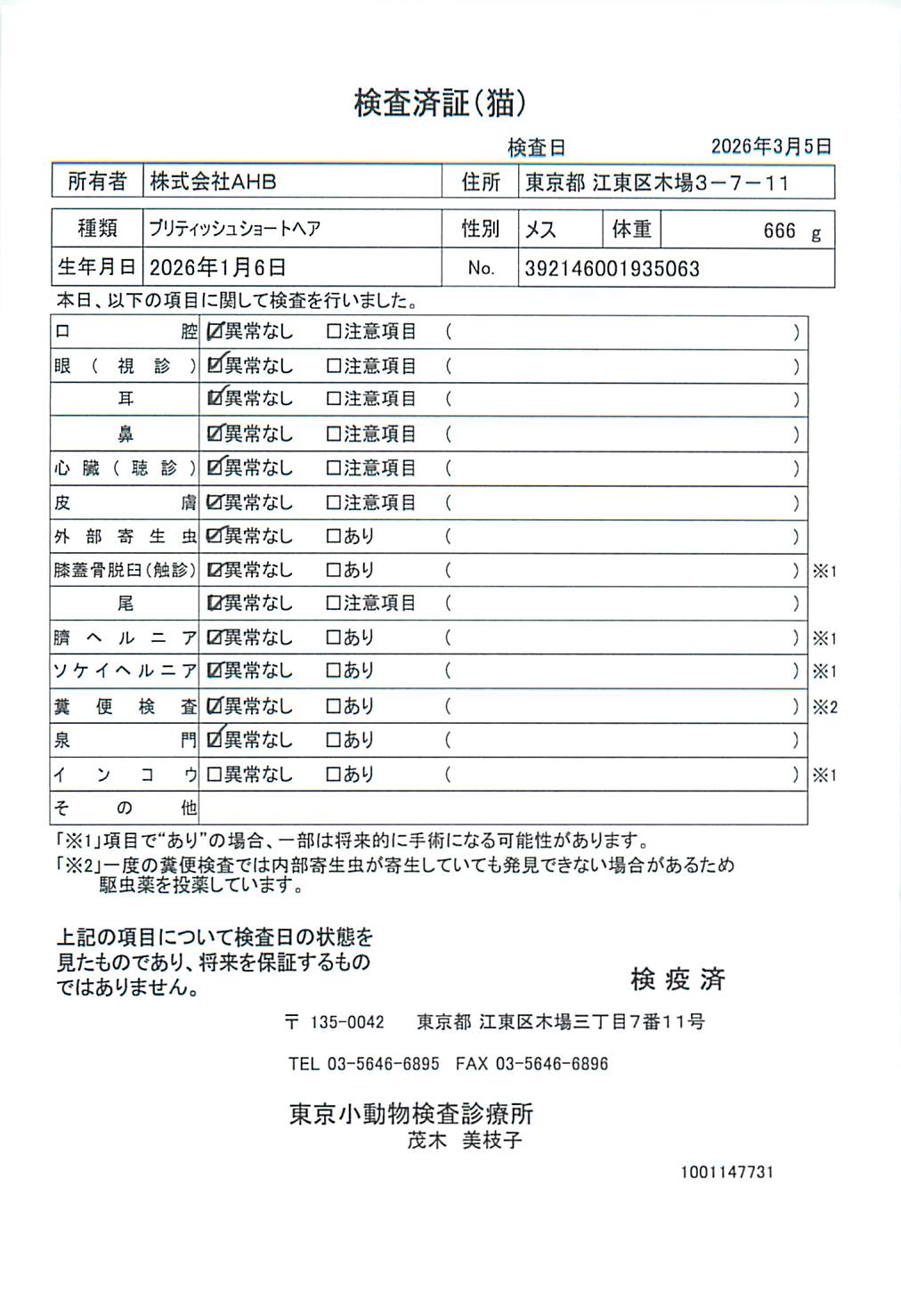 ブリティッシュロングヘア