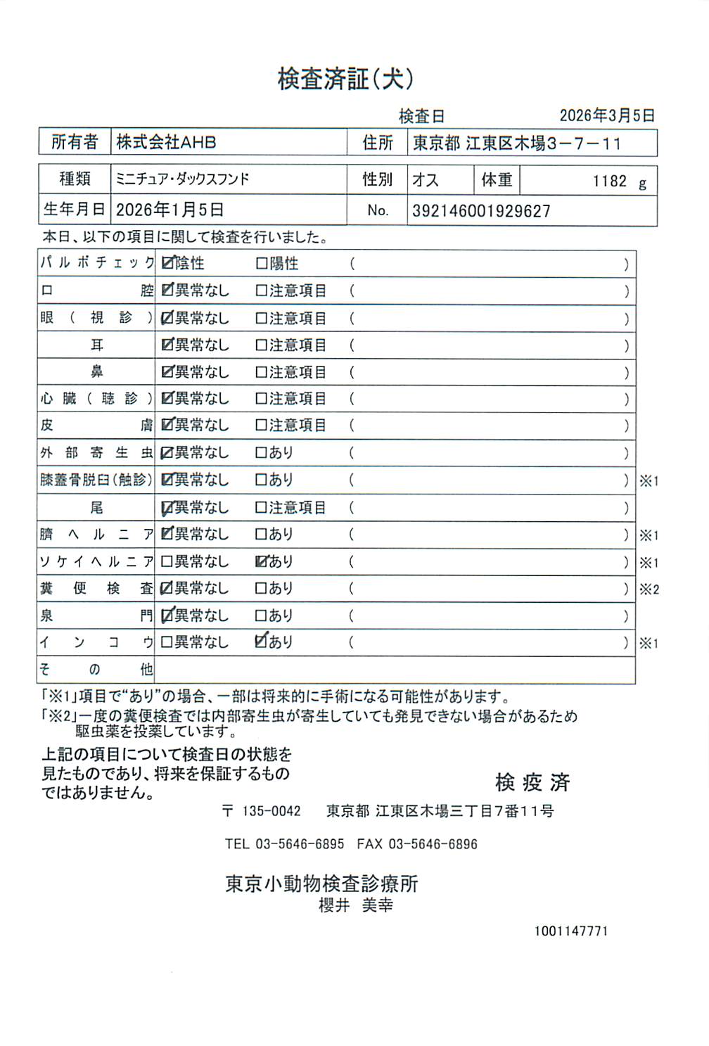 ミニチュア・ダックスフンド