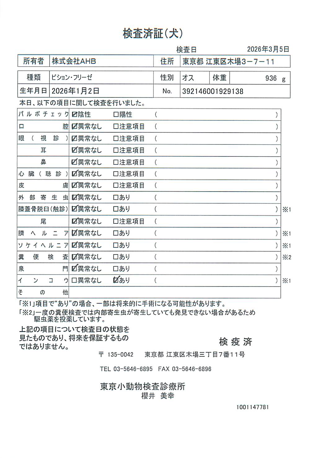 ビション・フリーゼ