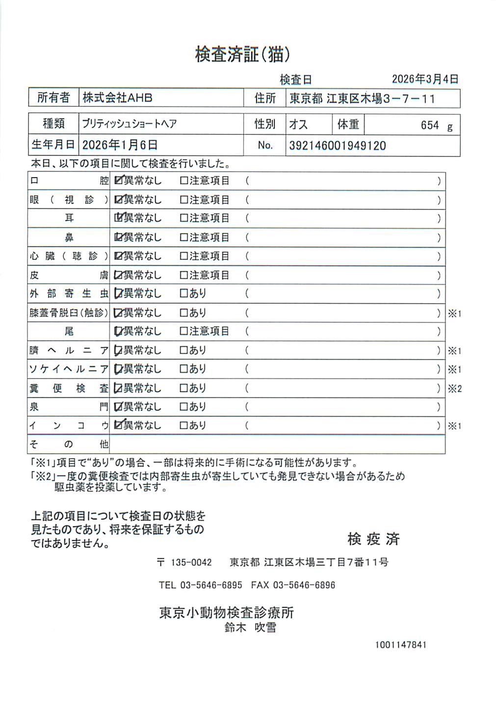 ブリティッシュショートヘア