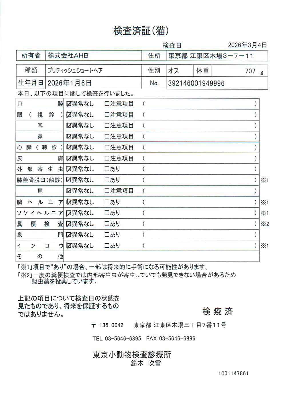 ブリティッシュショートヘア