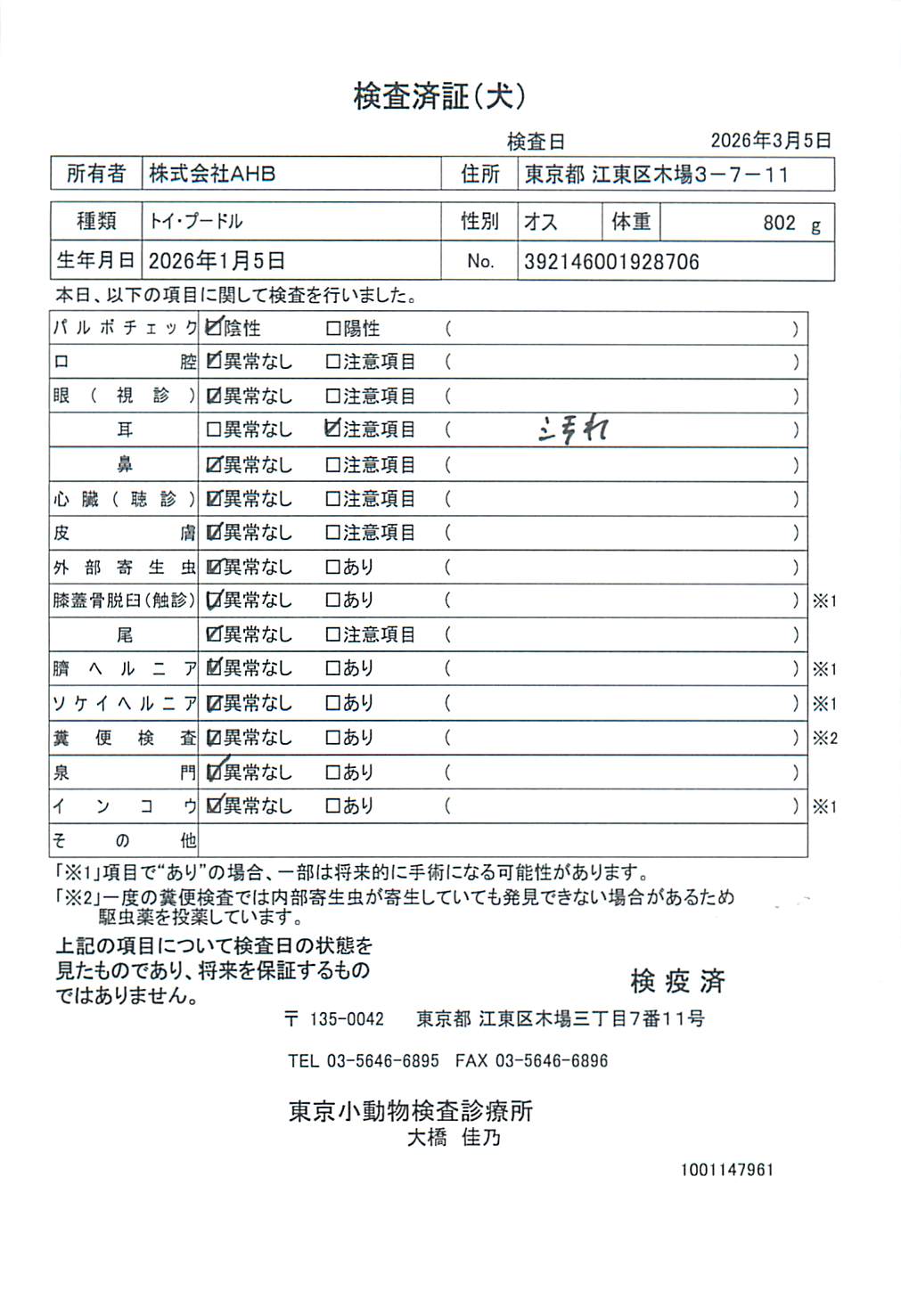 トイ・プードル