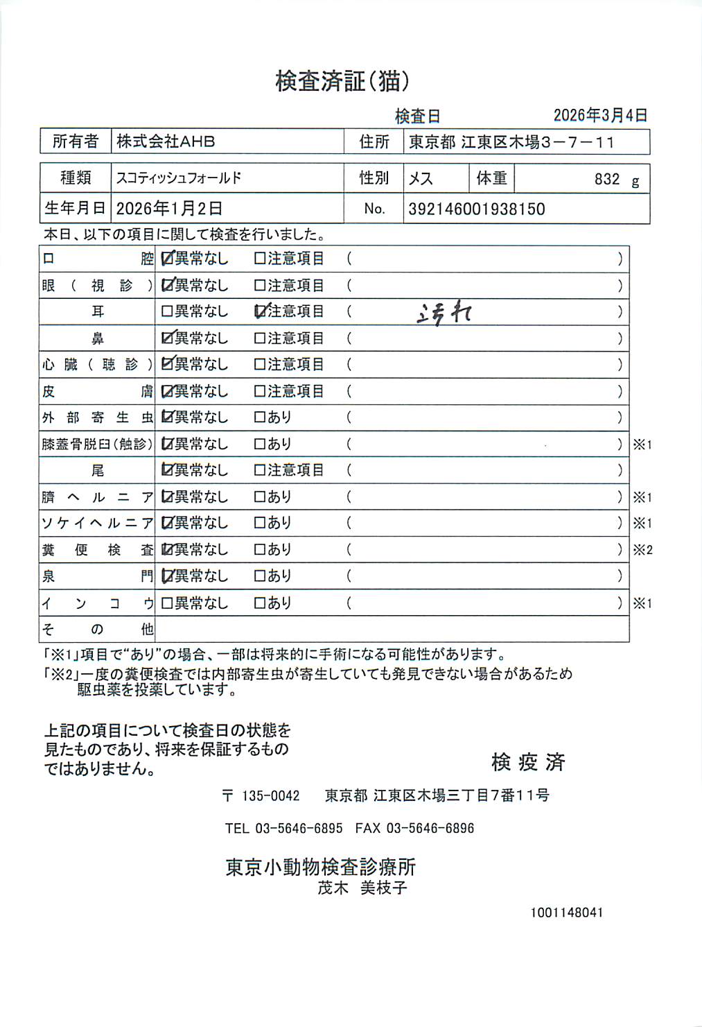 スコティッシュフォールド