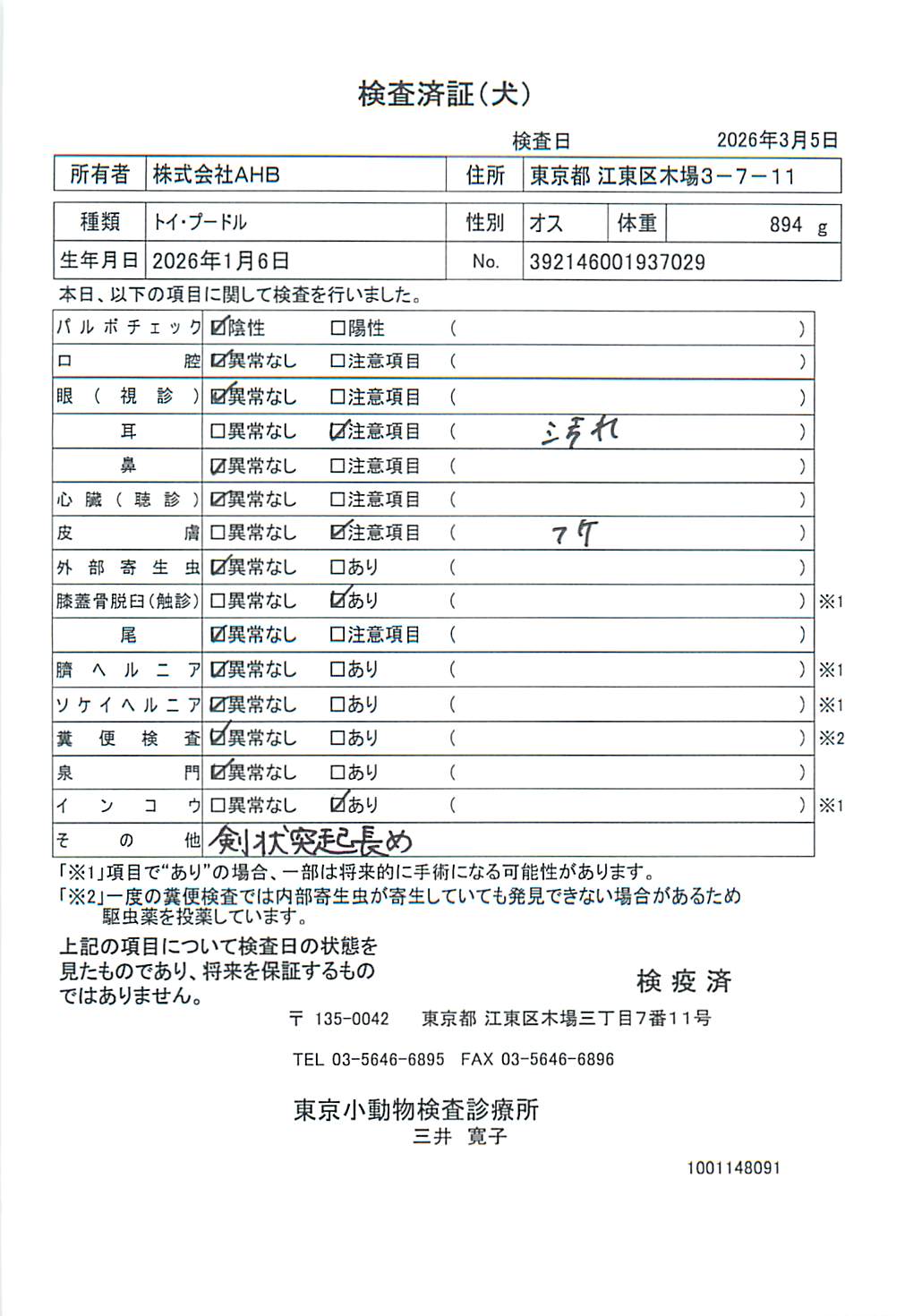 トイ・プードル