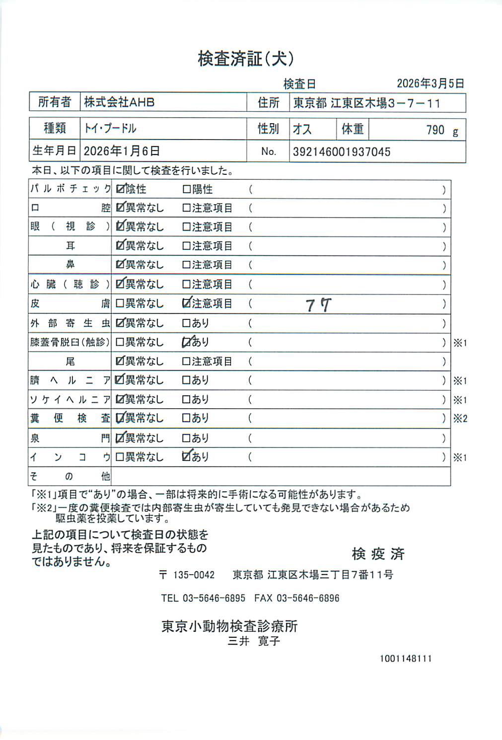 トイ・プードル