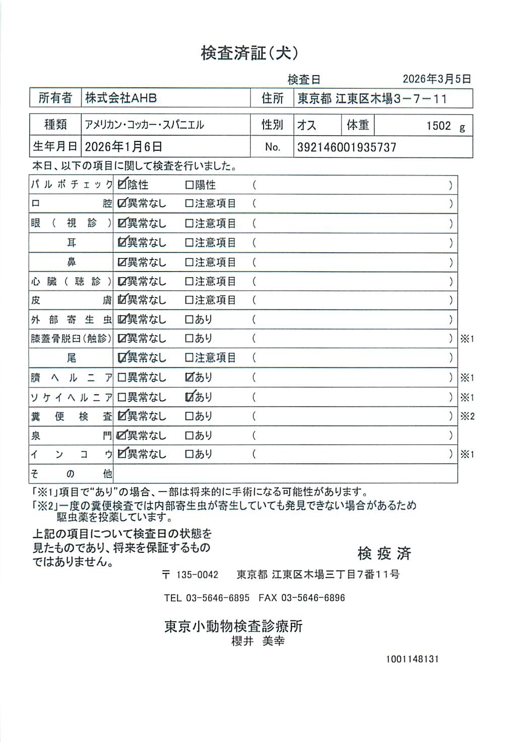 アメリカン・コッカー・スパニエル