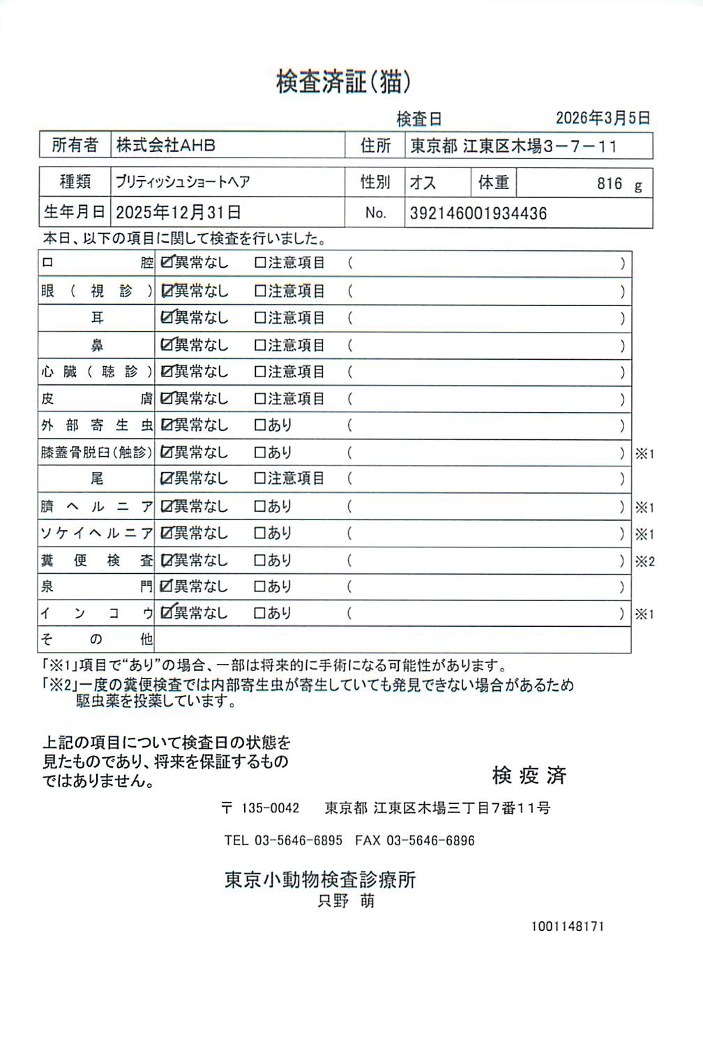 ブリティッシュショートヘア