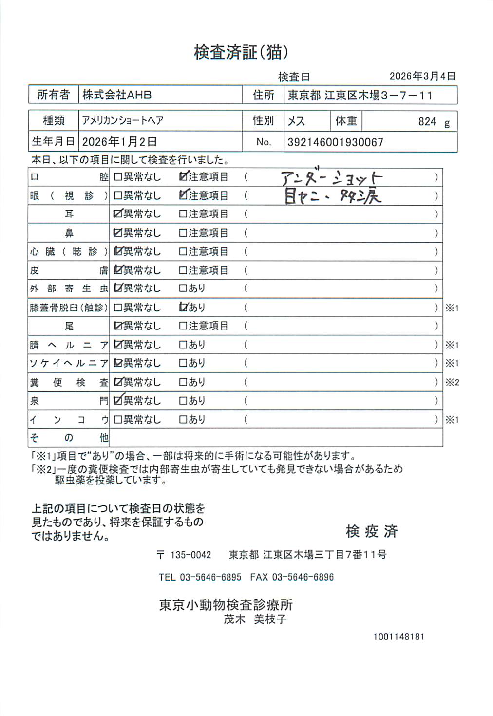 アメリカンショートヘア