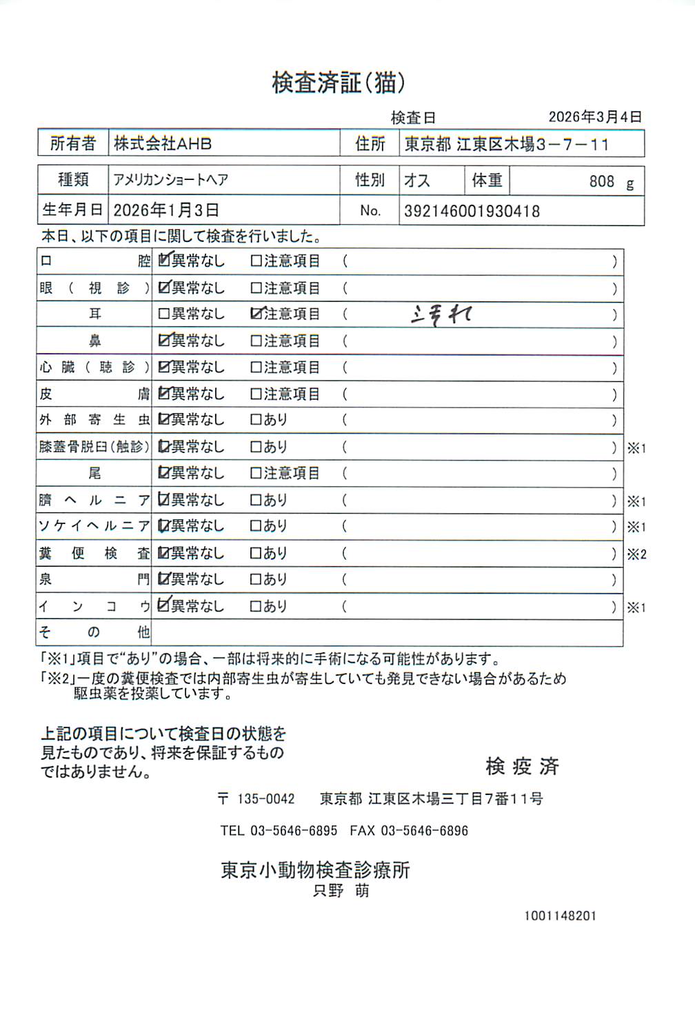 アメリカンショートヘア