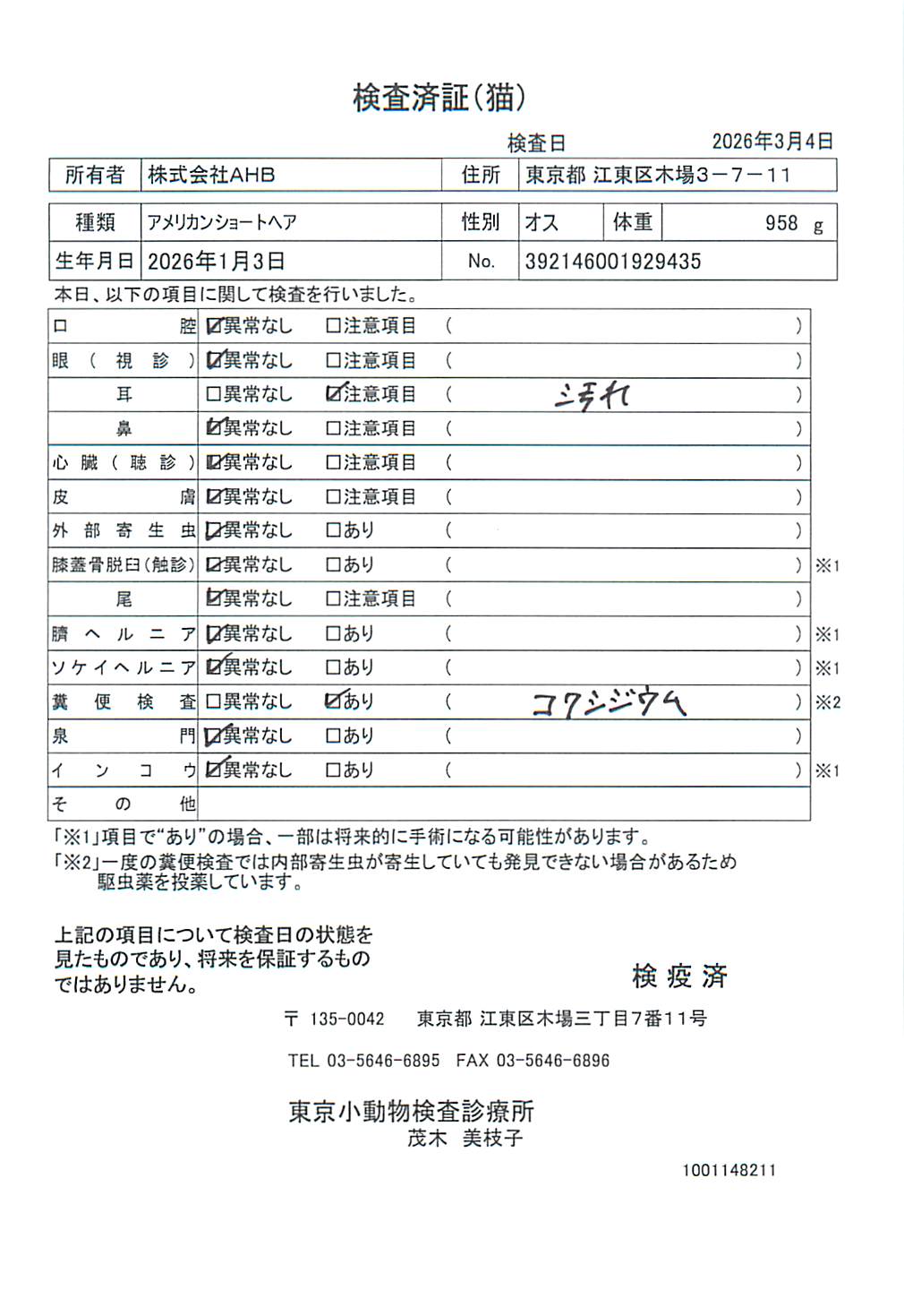 アメリカンショートヘア