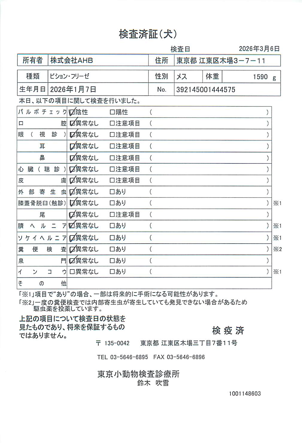 ビション・フリーゼ