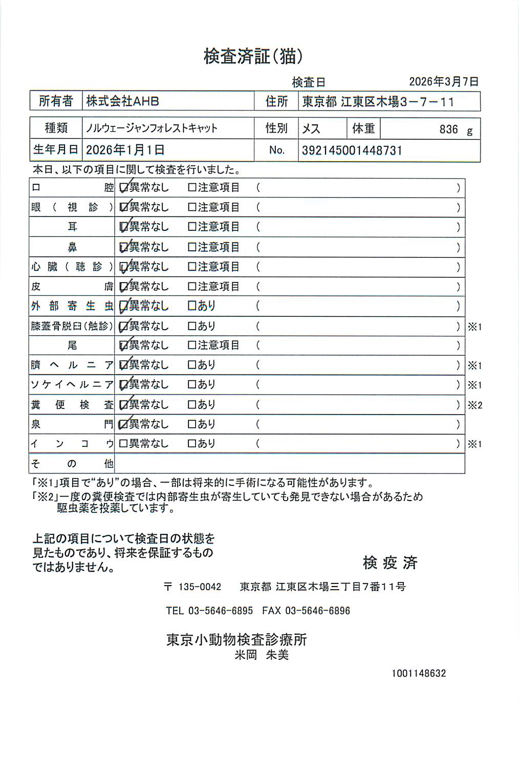 ノルウェージャンフォレストキャット