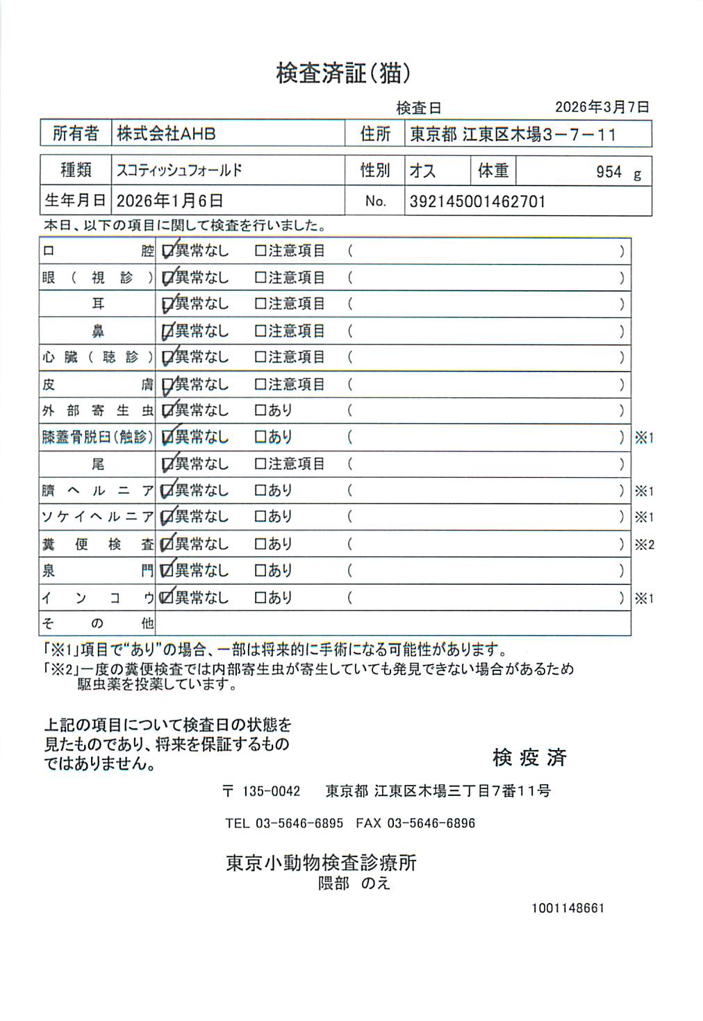 スコティッシュフォールド