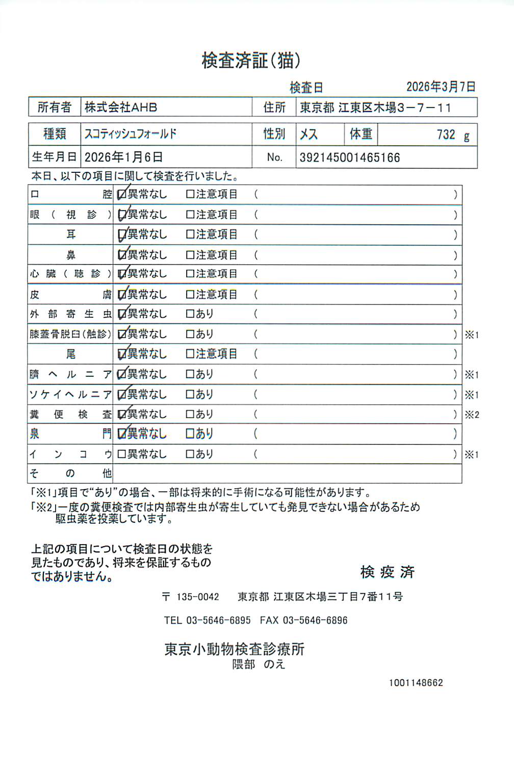 スコティッシュフォールド