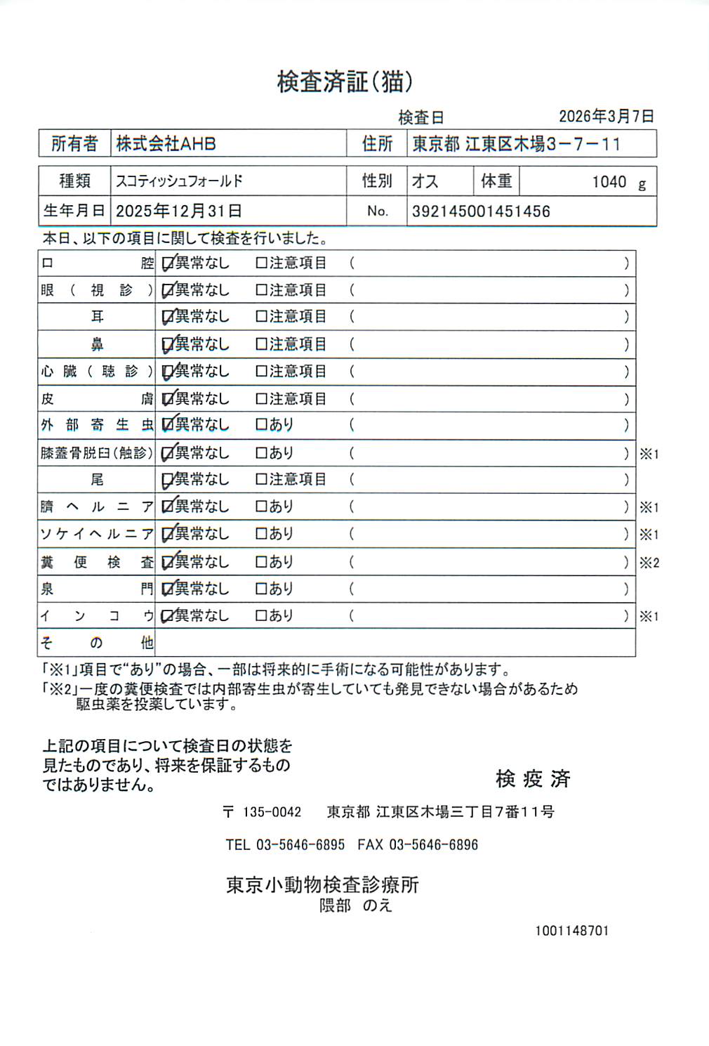 スコティッシュフォールド