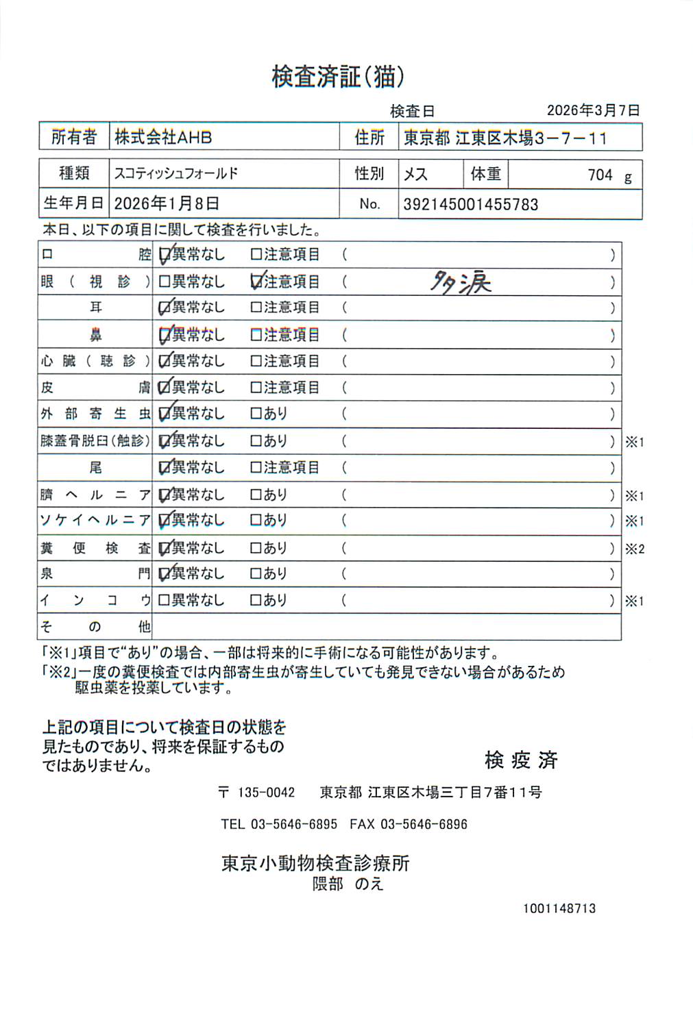 スコティッシュフォールド