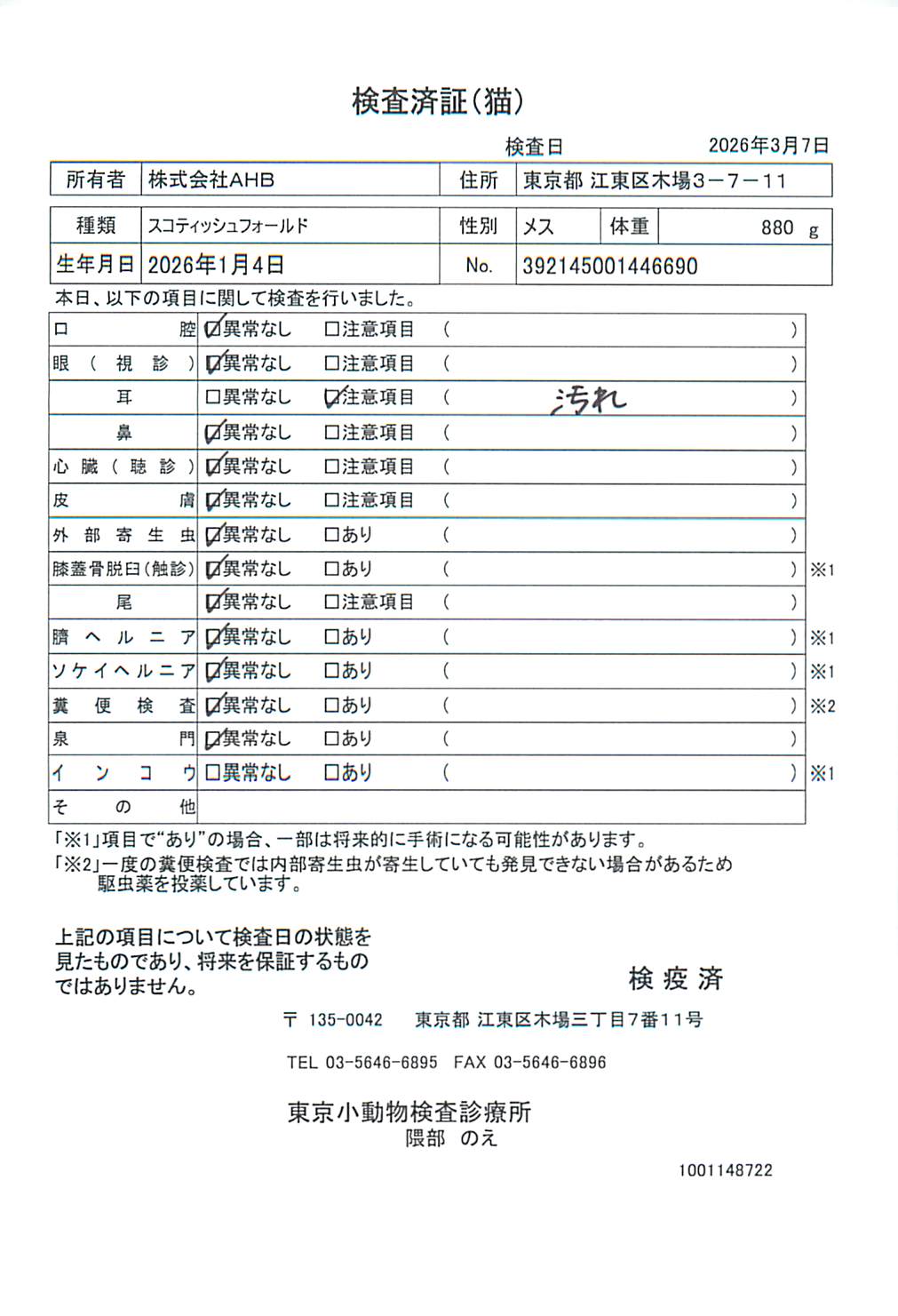 スコティッシュフォールド