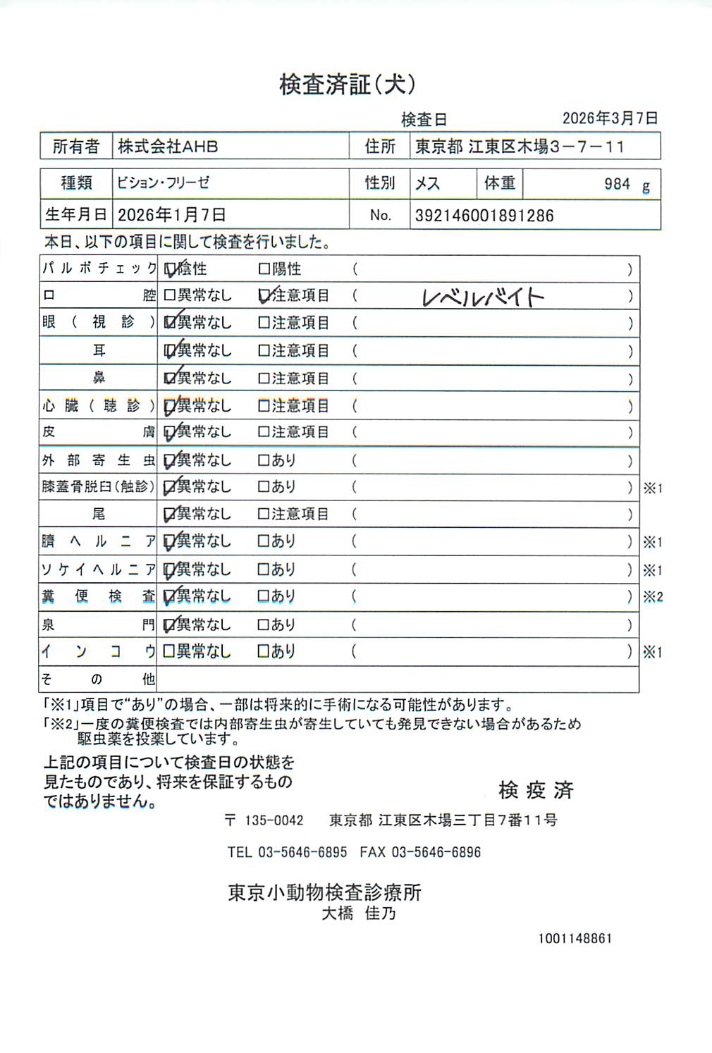 ビション・フリーゼ