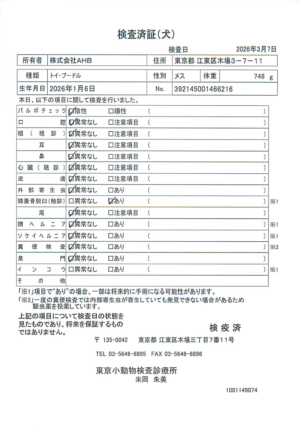 トイ・プードル