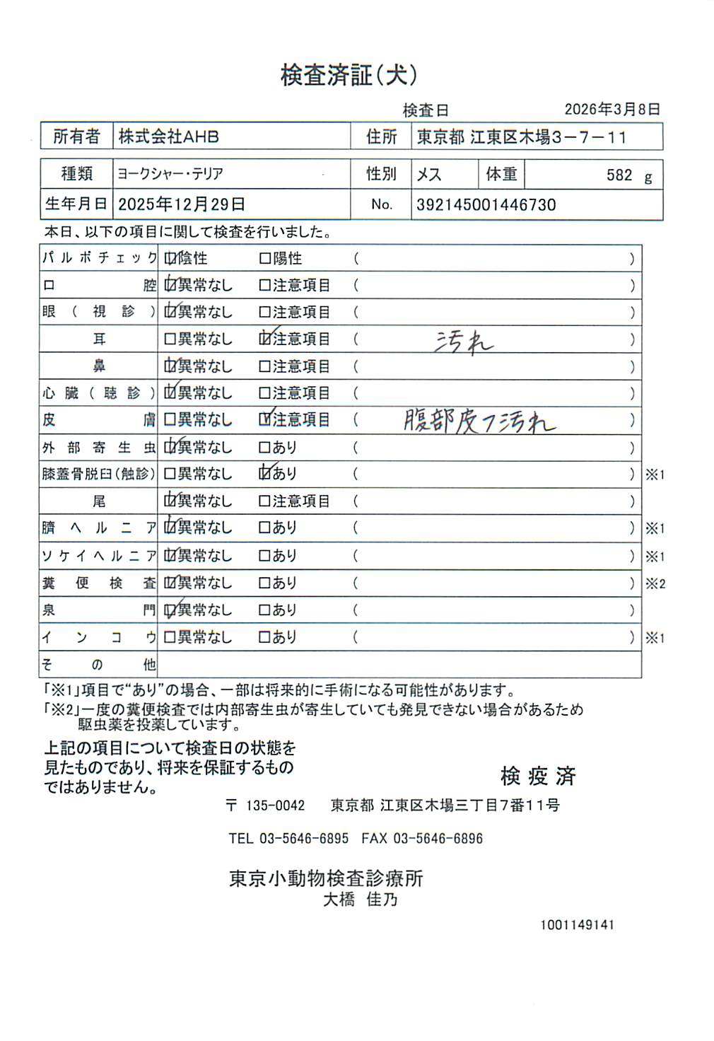 ヨークシャー・テリア