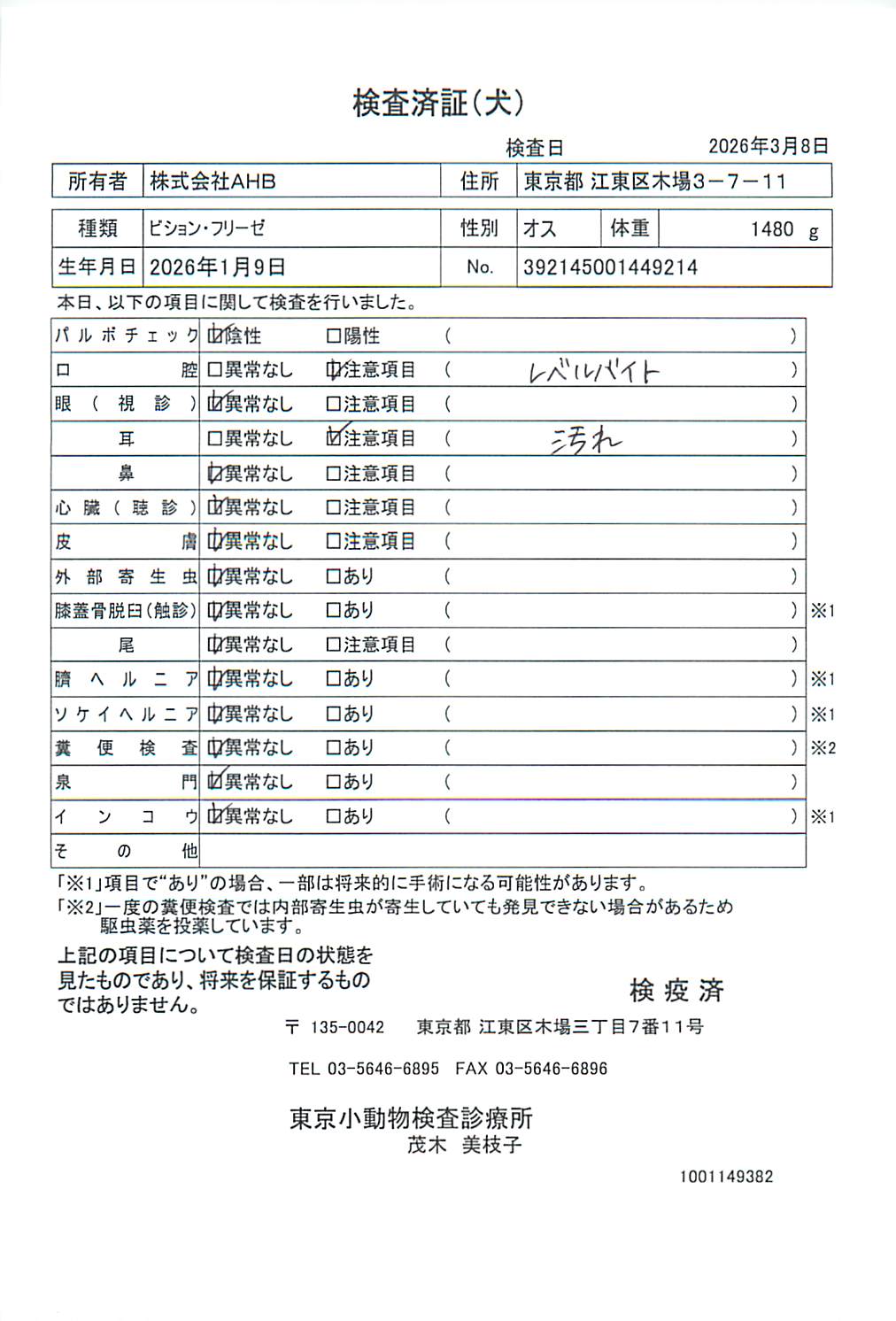 ビション・フリーゼ