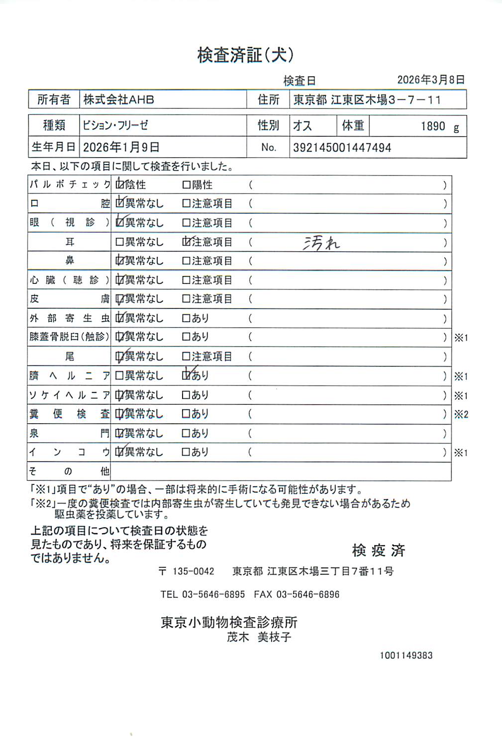 ビション・フリーゼ