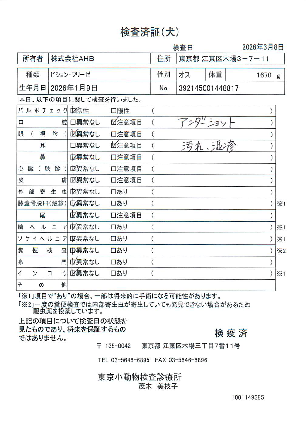 ビション・フリーゼ