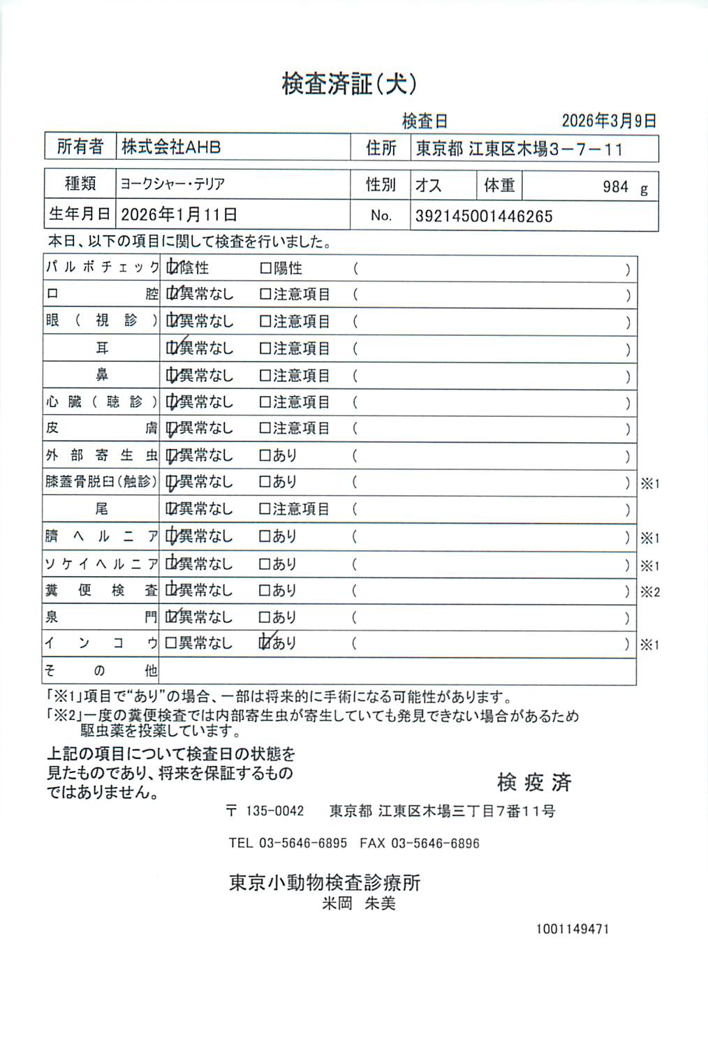 ヨークシャー・テリア