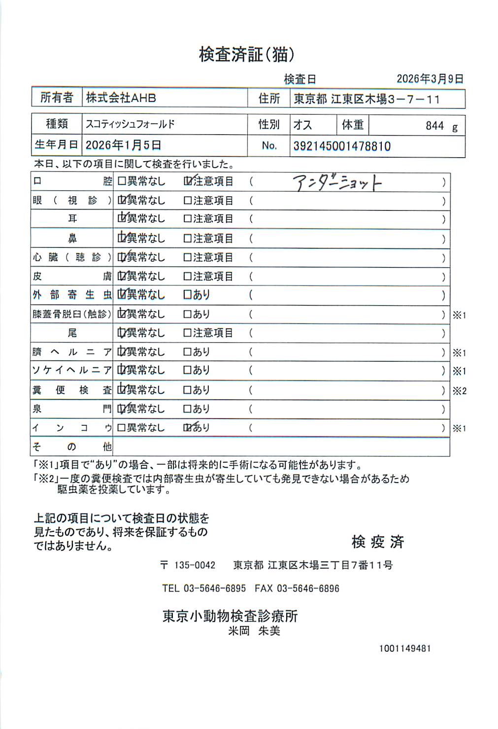 スコティッシュフォールド