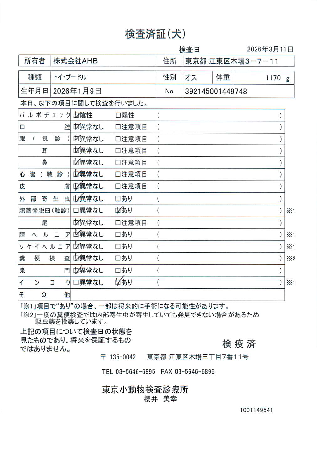 トイ・プードル