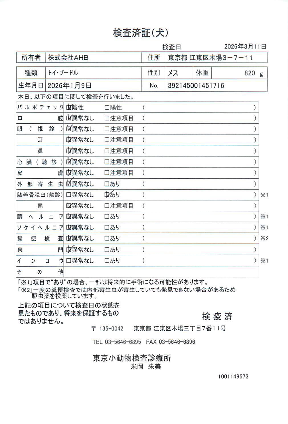 トイ・プードル