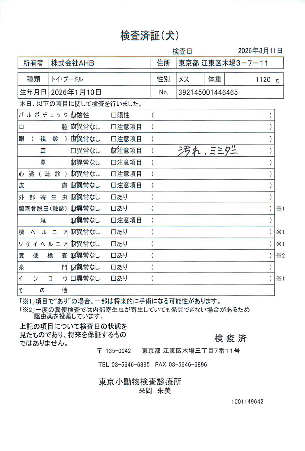 トイ・プードル