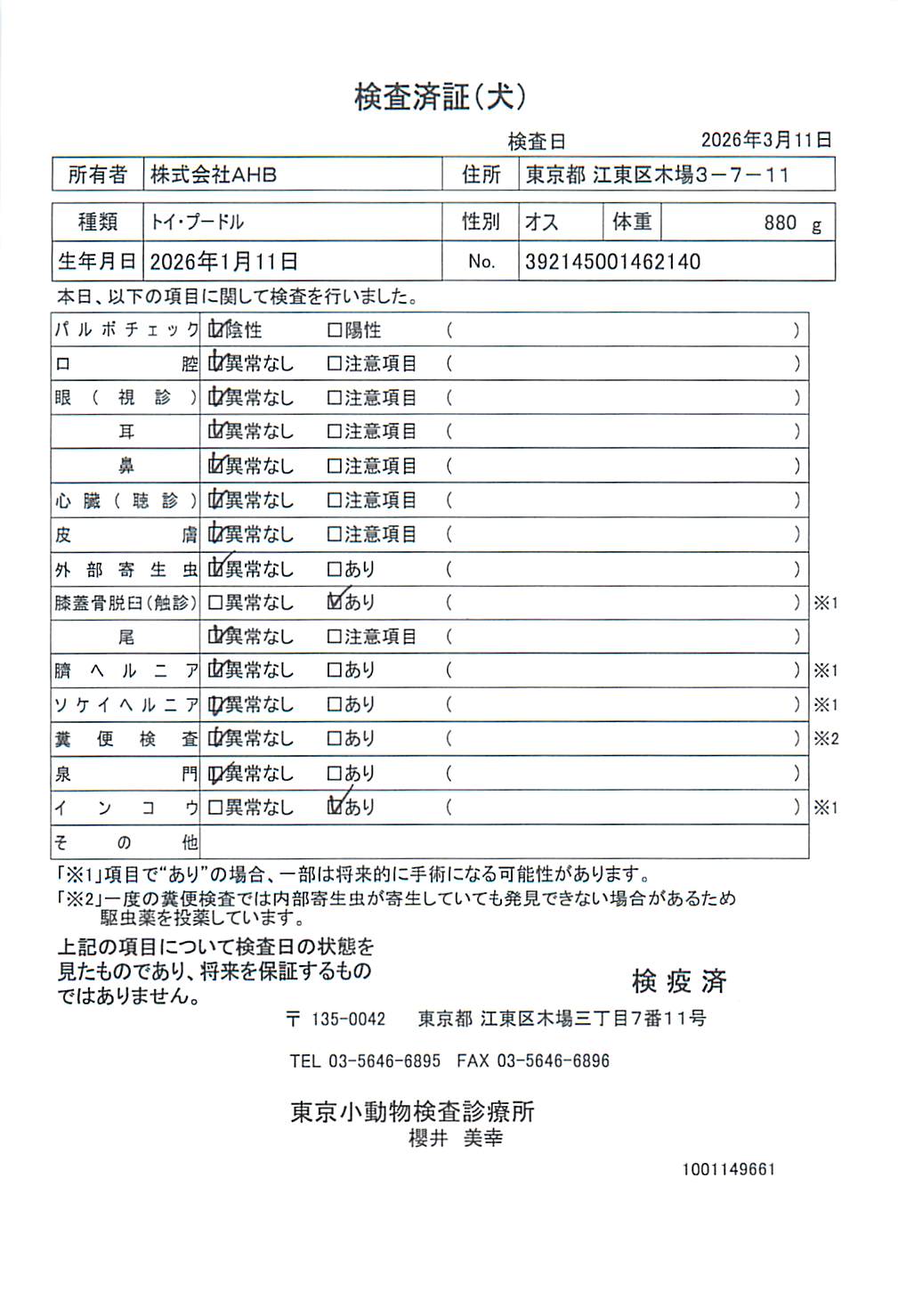 トイ・プードル