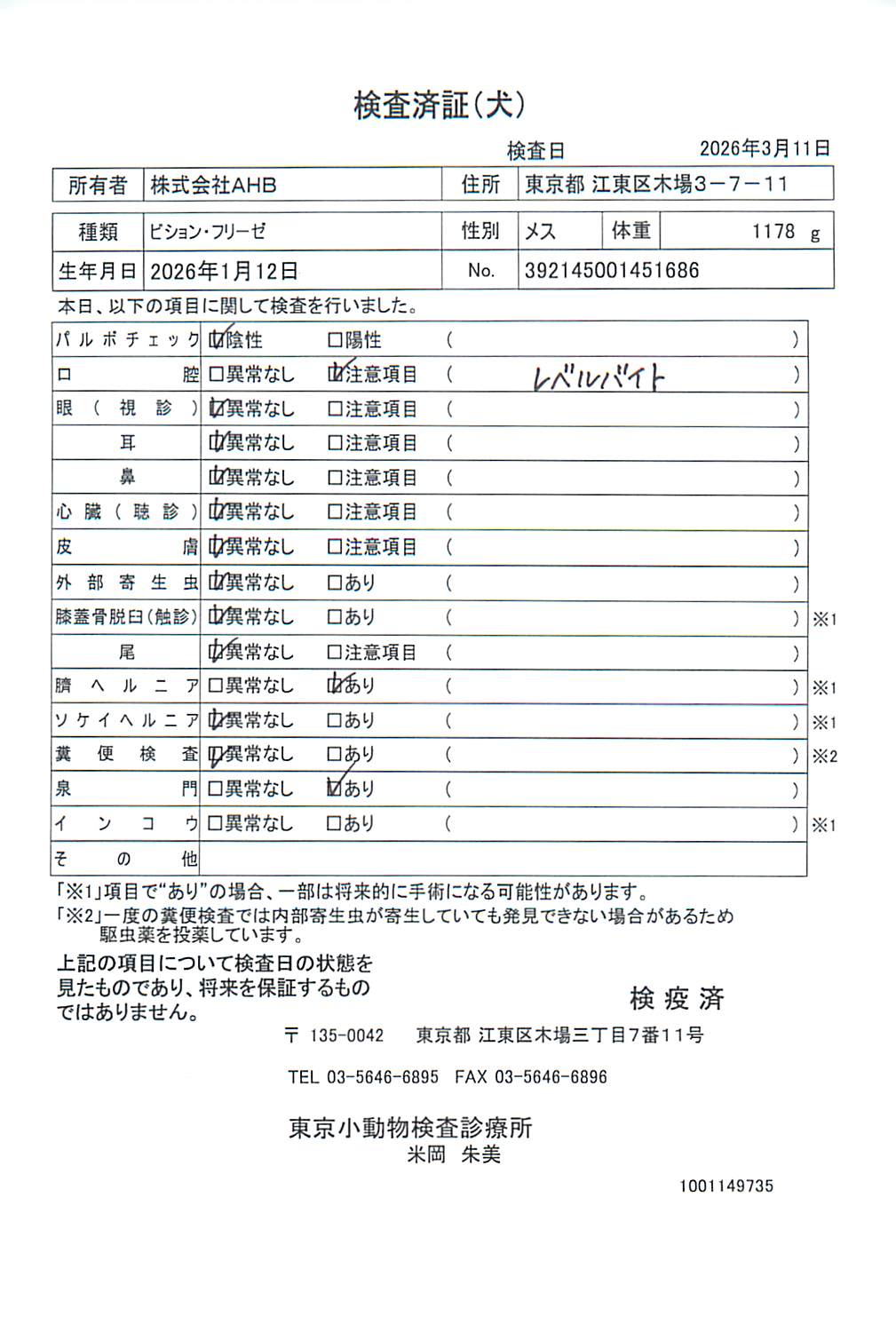 ビション・フリーゼ