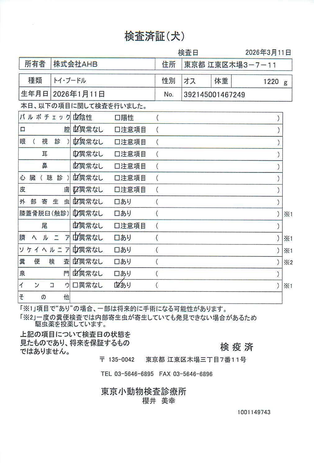トイ・プードル