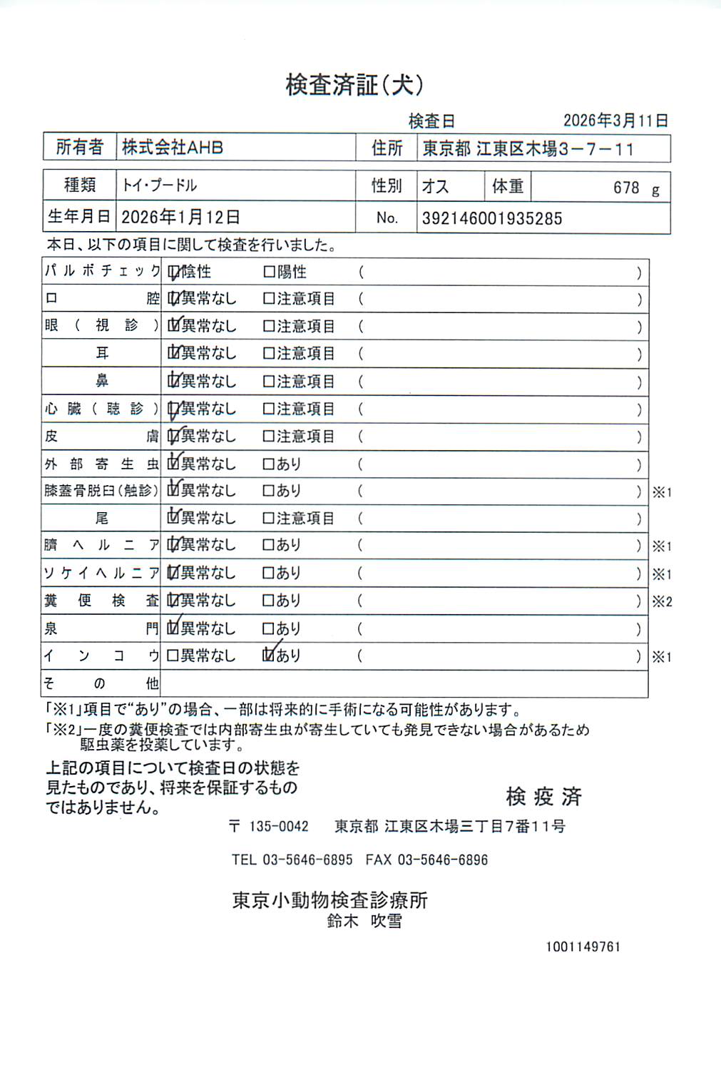 トイ・プードル