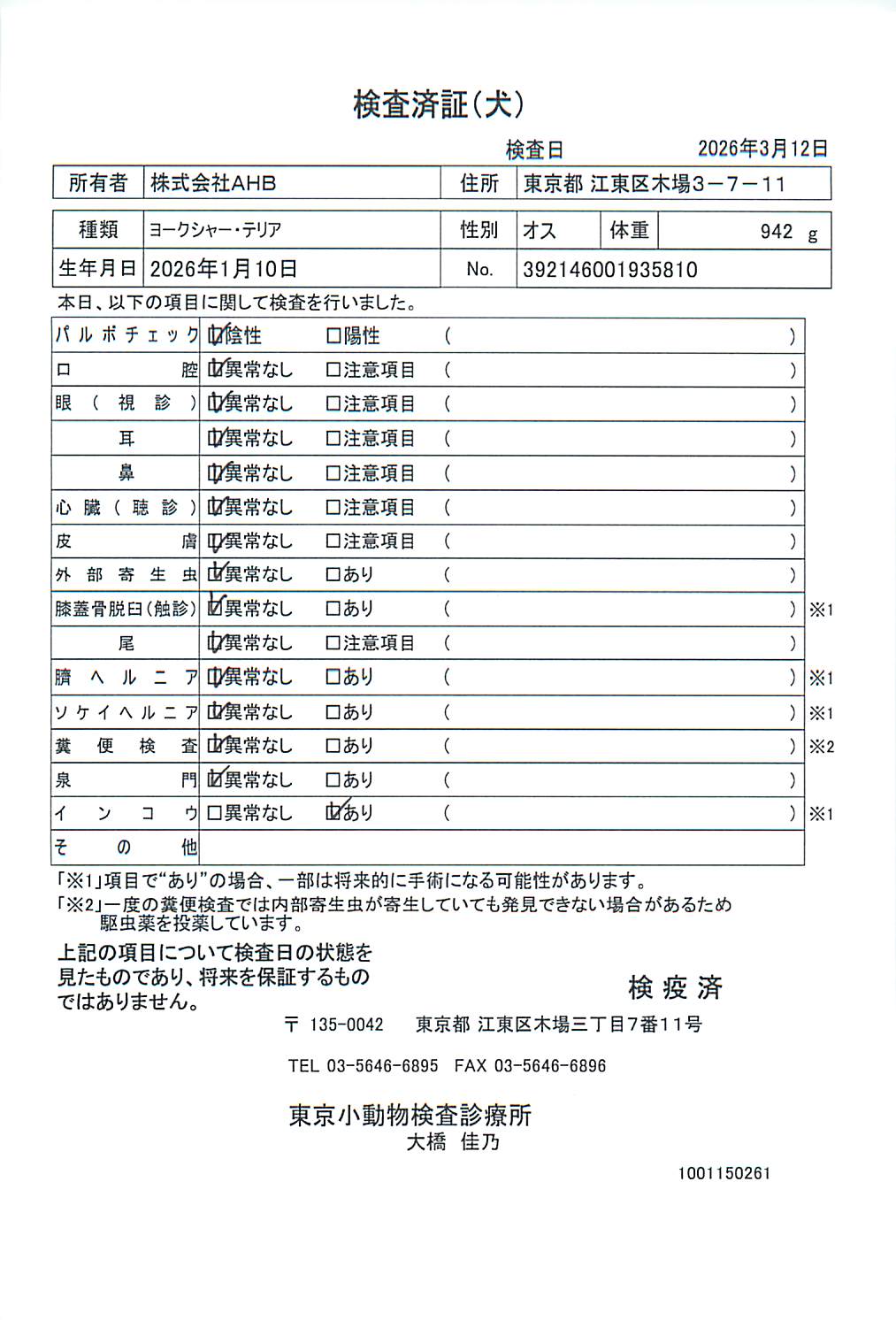 ヨークシャー・テリア