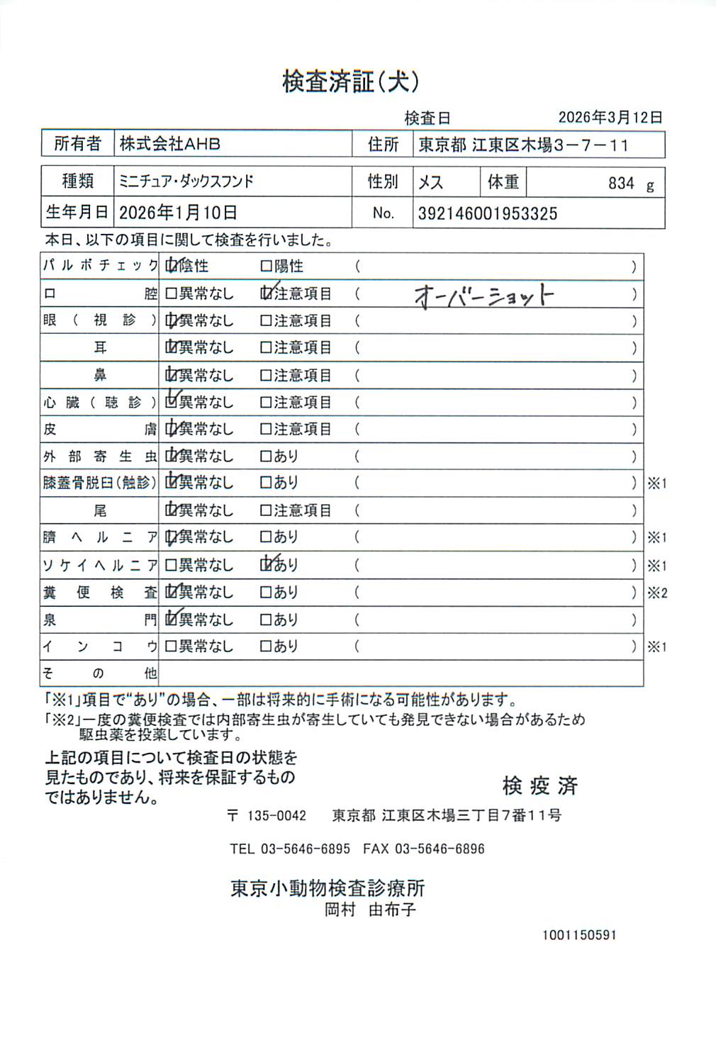 ミニチュア・ダックスフンド