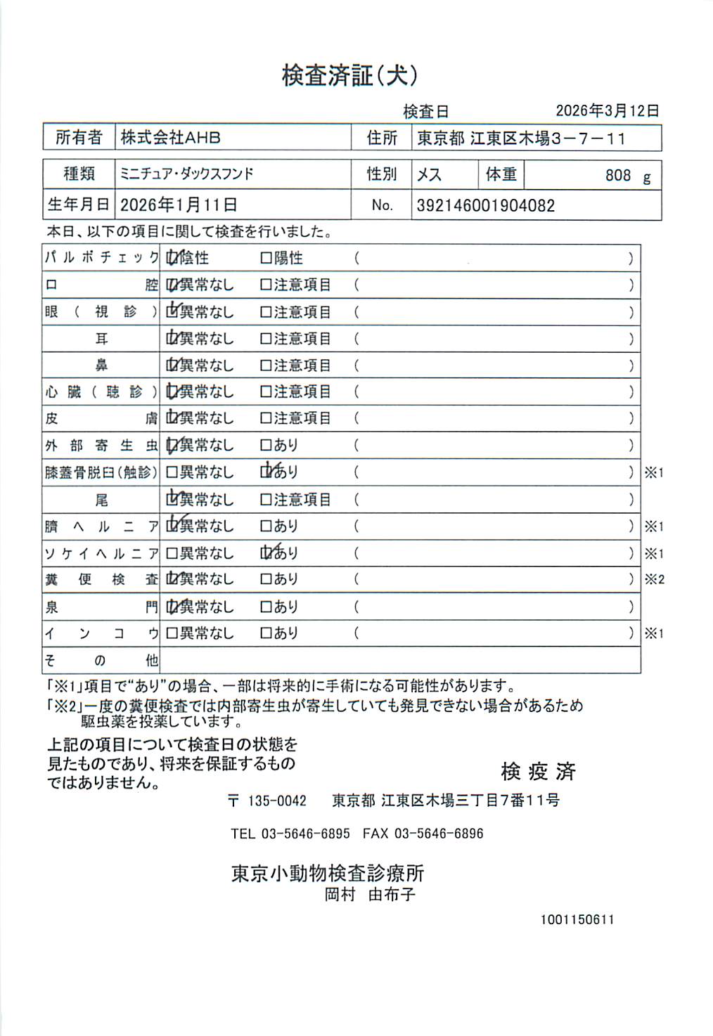 ミニチュア・ダックスフンド