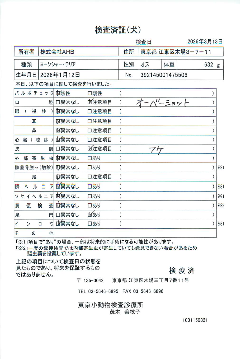 ヨークシャー・テリア